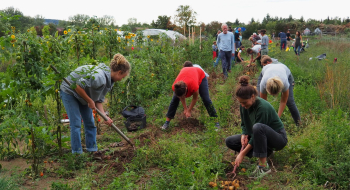 Klimabildung neu gedacht