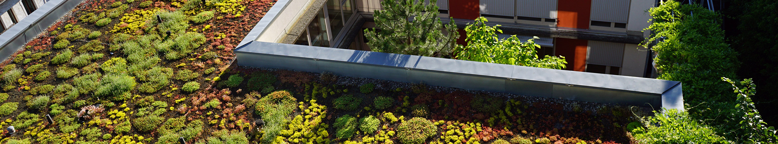 Stadtgrün für ein besseres Klima