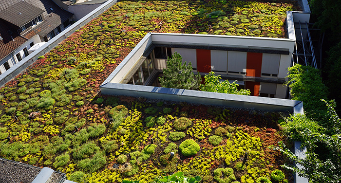 Stadtgrün für ein besseres Klima