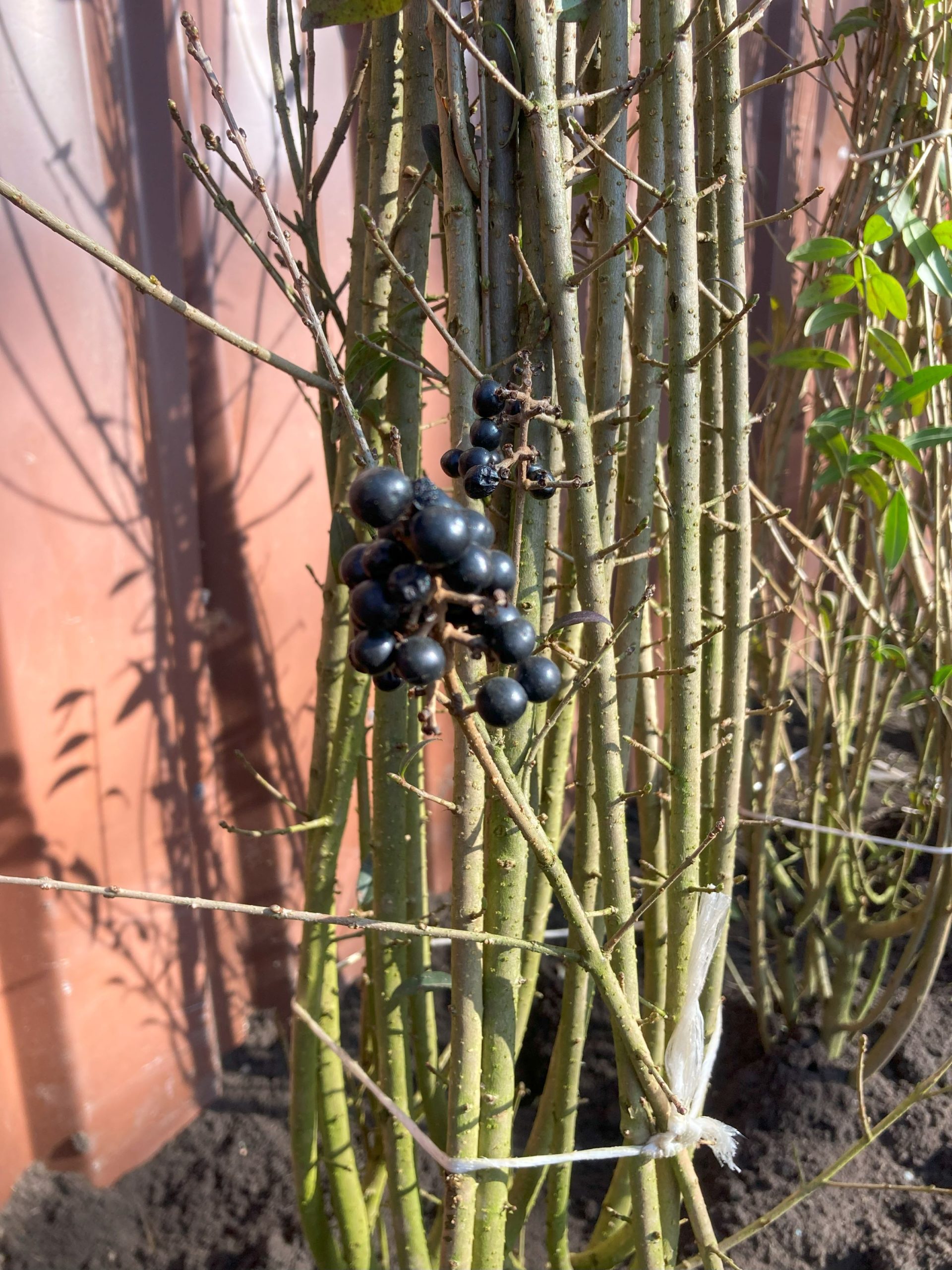 XXL Chillbänke im Klimapark